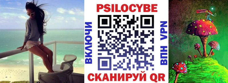 Псилоцибиновые грибы Cubensis  Краснослободск 
